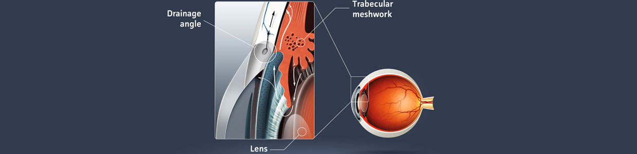 Innocenzi Eye Associates | Chino, CA